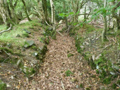 Gelligroes level, August 2011